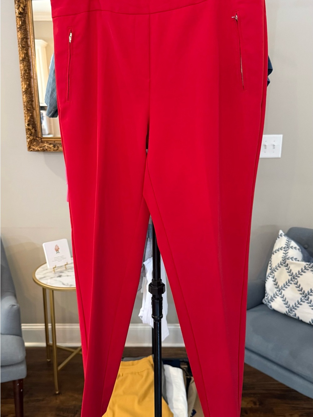 Zac & Rachel Vibrant Red Ponte Pull On Skinny Pants with Zip Pockets